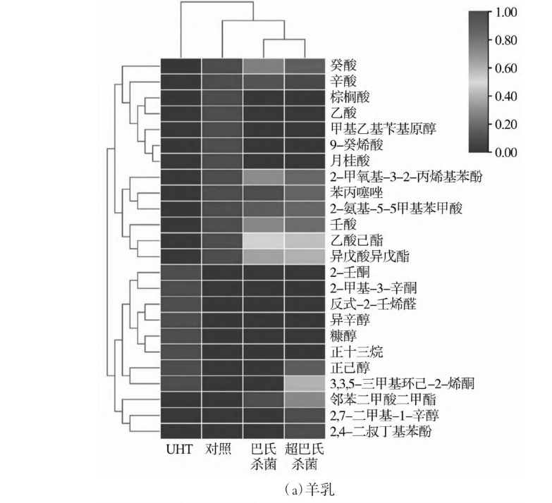 1699230491228453.png 羊乳51.png